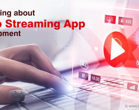 Video Streaming App Development like Netflix
